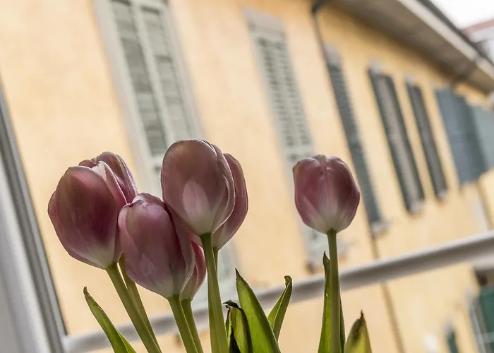 Casa Sofia -airport Free Shuttle-h24 Daire